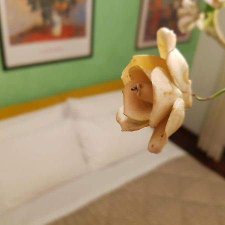Moncalvo In Relax 아파트 외부 사진